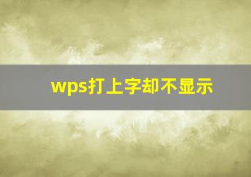 wps打上字却不显示