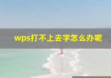 wps打不上去字怎么办呢