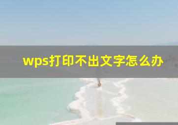 wps打印不出文字怎么办