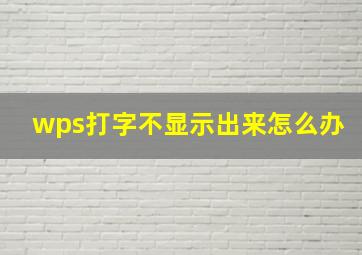 wps打字不显示出来怎么办