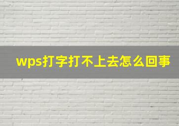 wps打字打不上去怎么回事