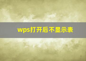 wps打开后不显示表