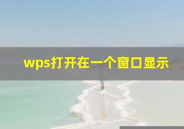 wps打开在一个窗口显示