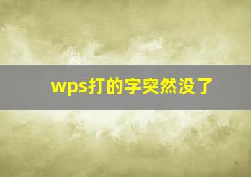 wps打的字突然没了