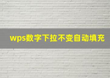 wps数字下拉不变自动填充