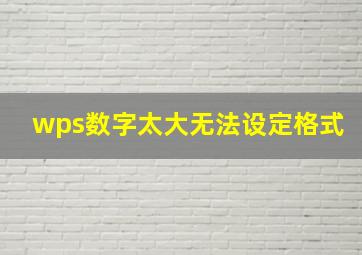 wps数字太大无法设定格式