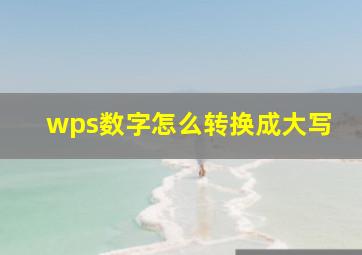 wps数字怎么转换成大写