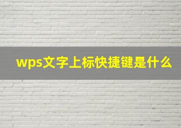 wps文字上标快捷键是什么