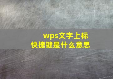 wps文字上标快捷键是什么意思