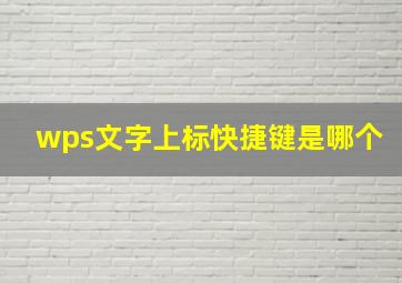 wps文字上标快捷键是哪个