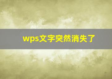 wps文字突然消失了