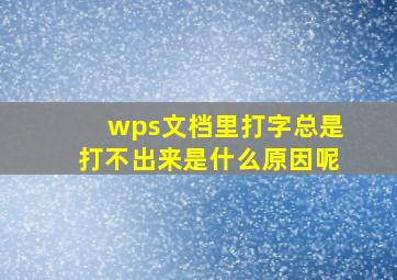 wps文档里打字总是打不出来是什么原因呢