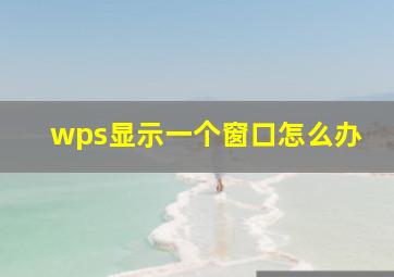 wps显示一个窗口怎么办