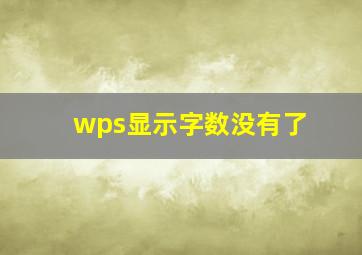 wps显示字数没有了