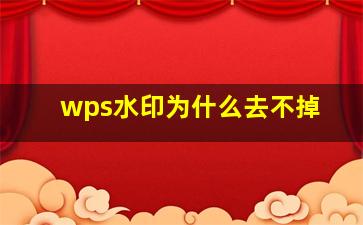 wps水印为什么去不掉