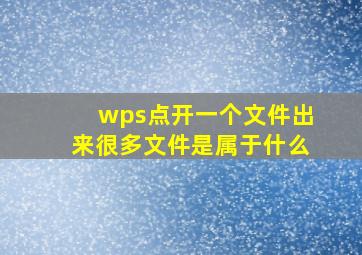 wps点开一个文件出来很多文件是属于什么