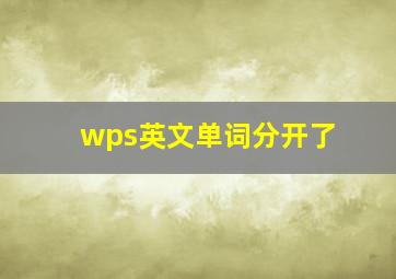 wps英文单词分开了