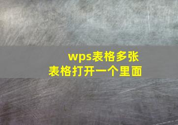 wps表格多张表格打开一个里面