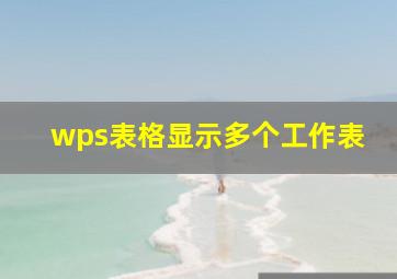 wps表格显示多个工作表