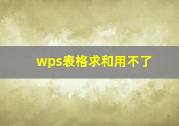 wps表格求和用不了