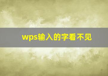 wps输入的字看不见