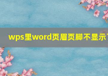 wps里word页眉页脚不显示了