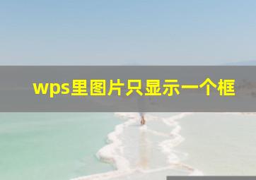 wps里图片只显示一个框