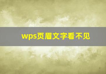 wps页眉文字看不见