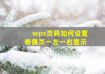 wps页码如何设置奇偶页一左一右显示