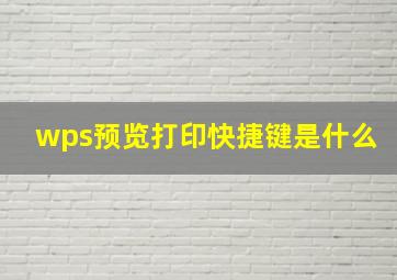 wps预览打印快捷键是什么