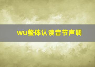 wu整体认读音节声调