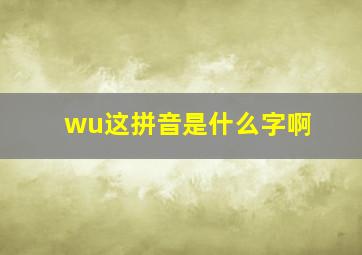 wu这拼音是什么字啊