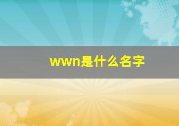 wwn是什么名字