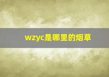 wzyc是哪里的烟草