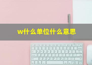 w什么单位什么意思