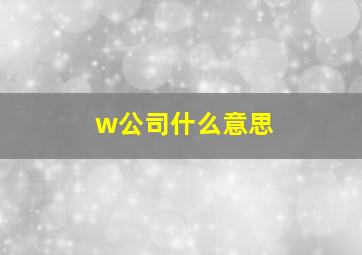 w公司什么意思