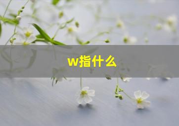 w指什么