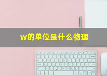 w的单位是什么物理