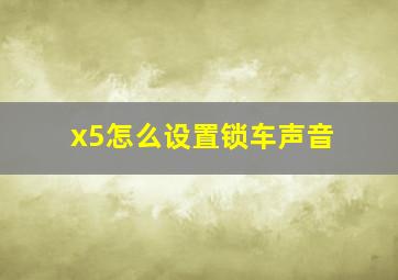 x5怎么设置锁车声音