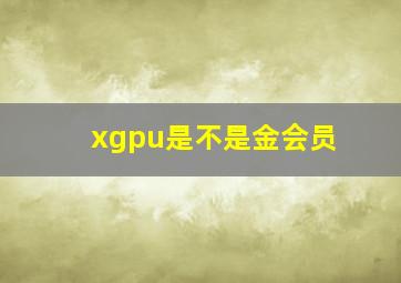 xgpu是不是金会员