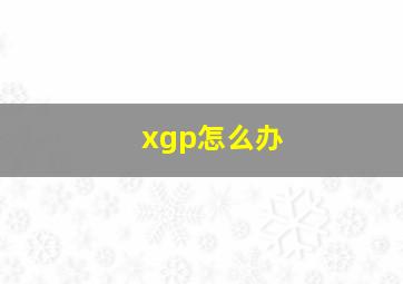 xgp怎么办