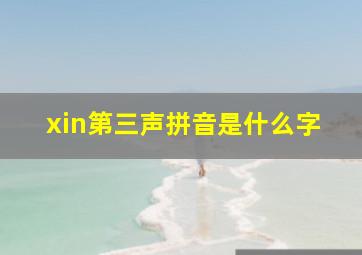 xin第三声拼音是什么字