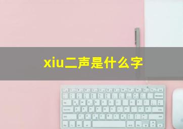 xiu二声是什么字