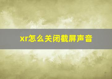 xr怎么关闭截屏声音