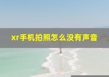 xr手机拍照怎么没有声音