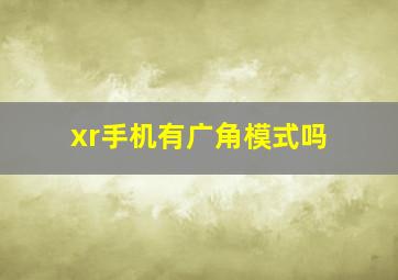 xr手机有广角模式吗