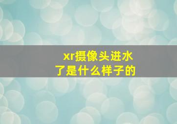 xr摄像头进水了是什么样子的