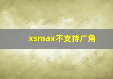 xsmax不支持广角