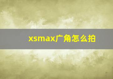 xsmax广角怎么拍