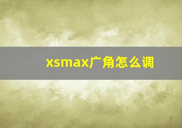 xsmax广角怎么调